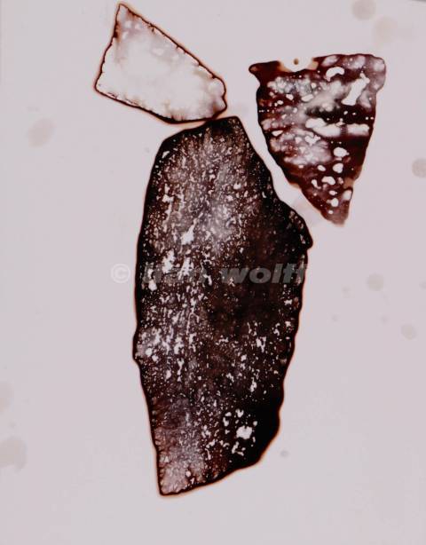 Earth no.422007-24x30cm-Calorigram