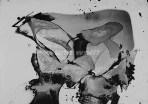 Water no.92002-100x70cm-Photogram
