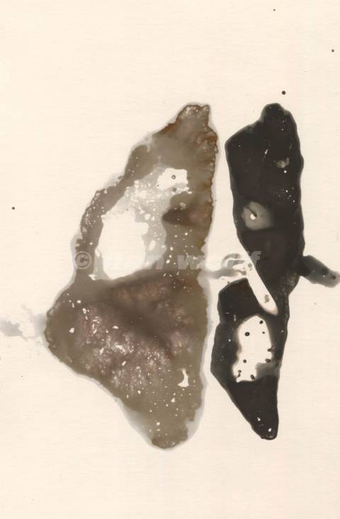 Earth no. 1522018-10x15cm-Calorigram