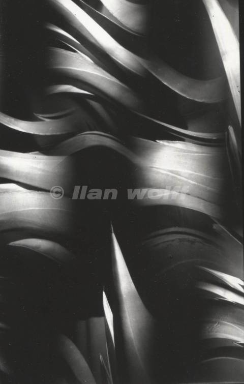 Agave Americana no.115A-2026-23x15cm-6 pinholes camera
